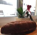 advent
